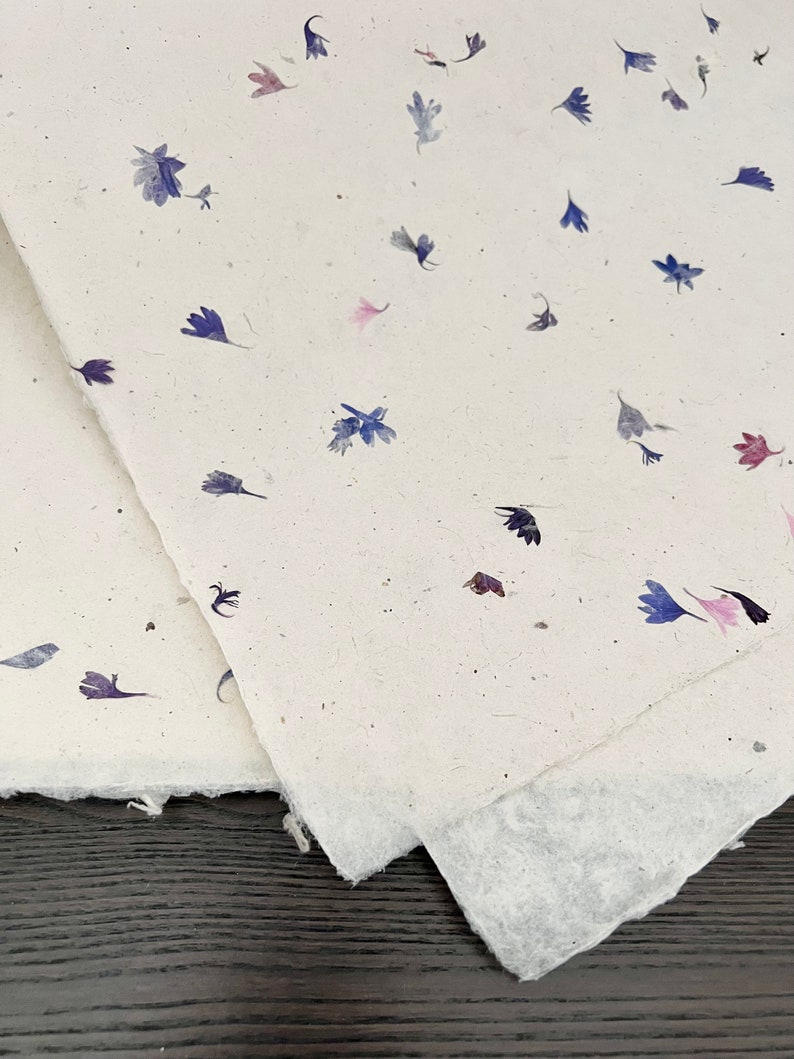 May include: Two sheets of white paper with embedded dried flowers. The flowers are blue, pink, and purple.
