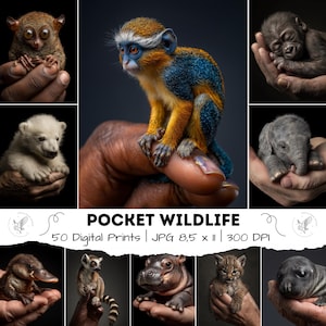 May include: A collection of 50 digital prints featuring various baby animals, including a monkey, polar bear, and elephant. The prints are 8.5 x 11 inches and have a resolution of 300 DPI. The title "Pocket Wildlife" is displayed.