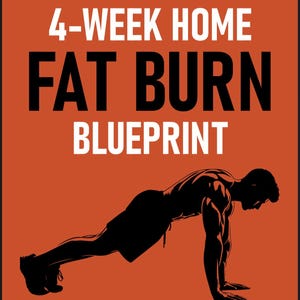 Könnte beinhalten: Orangefarbene Grafik mit dem Text "4-WEEK HOME FAT BURN BLUEPRINT" und einer schwarzen Silhouette einer Person, die Liegestütze macht. Der Text "NO GYM. NO EXCUSES. JUST RESULTS." steht unten.