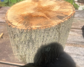 discounted natural ash stump table/stand