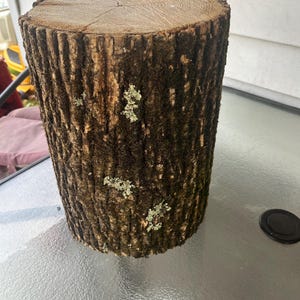 Puede incluir: Un tocón de madera cilíndrico y natural con corteza rugosa y texturizada. La parte superior del tocón muestra anillos de crecimiento concéntricos. Parches de líquenes verde claro son visibles en la corteza marrón oscuro. Esta pieza rústica podría usarse como acento decorativo o mesa pequeña.