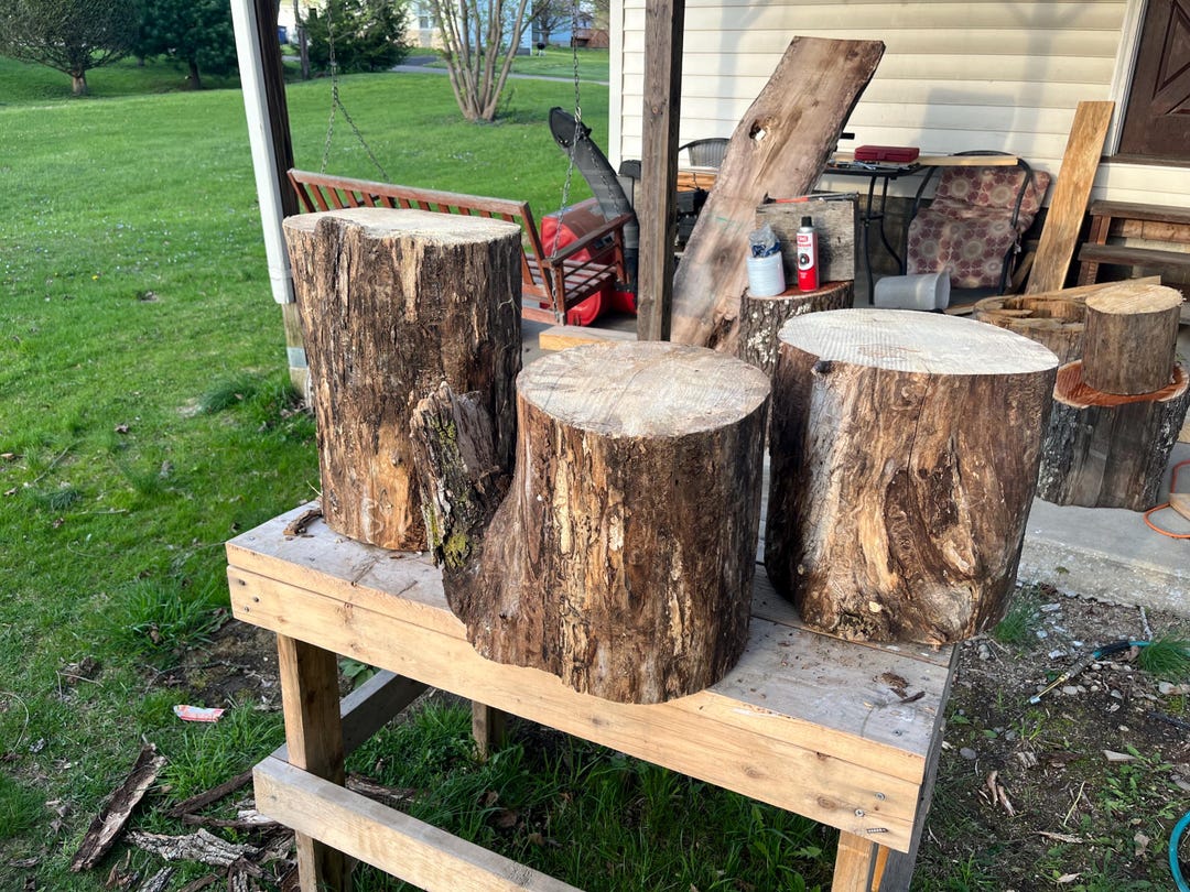 All Natural Stump Tables - Etsy