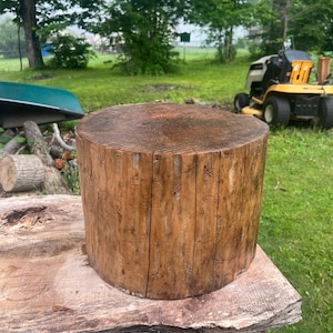 May include: A cylindrical wooden log stool with a natural brown finish, featuring visible vertical grain patterns and a flat, circular top surface with concentric growth rings. The wood has a smooth, polished texture with subtle cracks and knots.