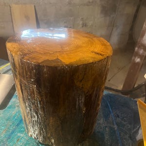May include: A handcrafted wooden stump side table. The table is cylindrical, with a polished, glossy finish. The top surface displays the natural wood grain rings. The sides have a rough, textured bark appearance. The wood has a warm, brown color.
