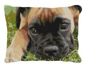 Boxer Pup Needlepoint Pillow DIY Canvas