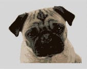 Cute Pug Needlepoint Pillow DIY Canvas