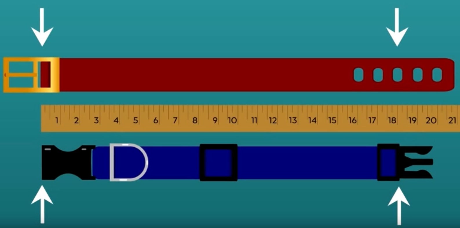 Needlepoint Dog Collar Finishing Real Leather Etsy