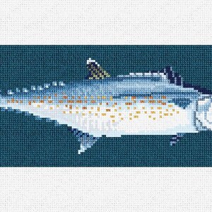 May include: A detailed illustration of a blue and white fish with yellow markings on a dark blue background. The fish is swimming to the right.