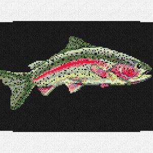 Könnte beinhalten: Ein bunter Regenbogenforellenfisch mit schwarzen Flecken auf schwarzem Hintergrund. Der Fisch schwimmt auf einen roten und orangefarbenen Köder zu.