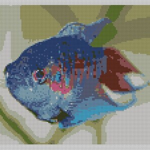 Blue Paradise Fish Needlepoint DIY Kit