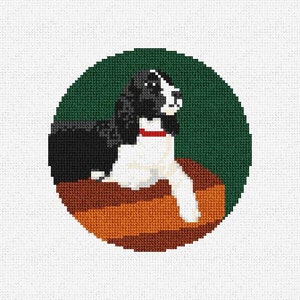 Könnte beinhalten: Ein schwarz-weißer Springer Spaniel mit rotem Halsband liegt auf einer braunen und orangen Fläche. Der Hund schaut nach rechts.