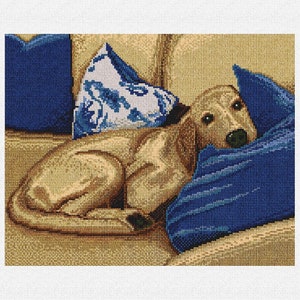 May include: A light brown dog is lying on a sofa with blue and white cushions. The dog is looking at the camera with its head resting on a blue cushion.