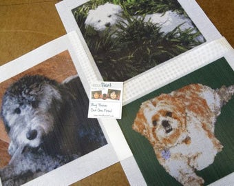 Custom Photo Needlepoint Pillow DIY Kit