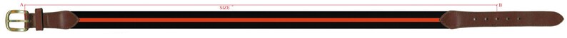 Virginia State Needlepoint Belt DIY Canvas