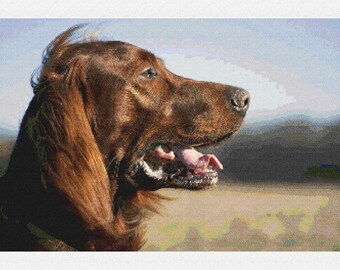 Kit Punto Croce — Cucciolo Di Setter Irlandese, 40x50 Cm, Per Principianti E Appassionati, Completo Di Tutto