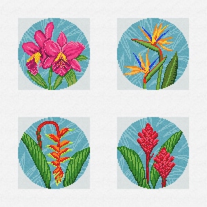 May include: Four circular designs featuring tropical flowers. The first design shows pink orchids with green leaves. The second design shows a bird of paradise flower with orange and blue petals. The third design shows a red ginger flower with green leaves. The fourth design shows a red heliconia flower with green leaves.