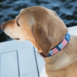 Needlepoint Dog Collar Finishing - Real Leather