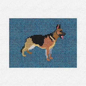 May include: A brown and black German Shepherd dog with a pink tongue sticking out stands on a blue background.