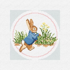 Peter Rabbit Needlepoint Christmas Ornament DIY Kit