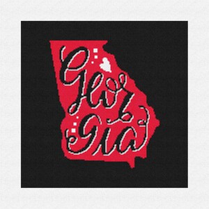 Georgia Needlepoint Pillow DIY Kit
