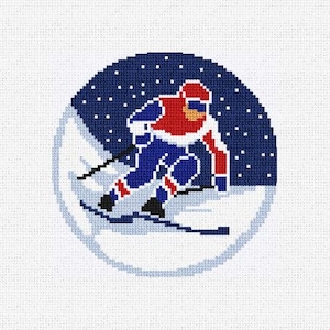 Winter Slalom Skiing Needlepoint Christmas Ornament DIY Kit