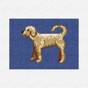 Kit de bricolage portefeuille pour cartes de broderie Goldendoodle