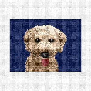 Kit de bricolage pour porte-cartes Labradoodle, couture à l'aiguille