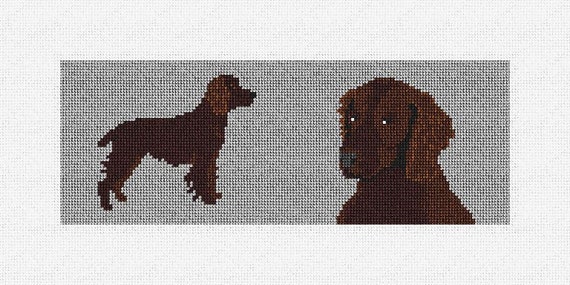 Boykin Spaniel Phone Case Wallet Boykin Spaniel Phone Case Wallet