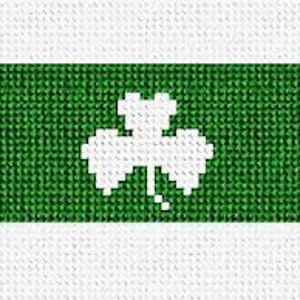 Lucky Irish Needlepoint Belt DIY Kit