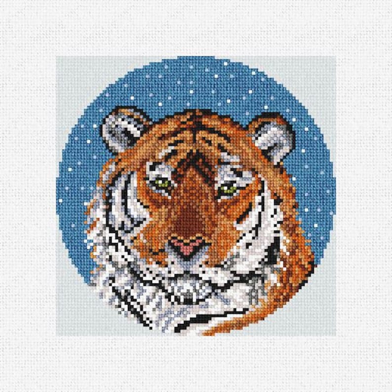 Pu&ograve; includere: Un primo piano del viso di una tigre con strisce arancioni e nere. La tigre &egrave; circondata da un cerchio blu con punti bianchi.