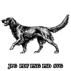 Pode incluir: Ilustração a preto e branco de um cão, provavelmente um Setter Inglês, numa pose de caminhada. O cão tem pelo longo e fluido e uma aparência texturizada detalhada. Abaixo, as abreviações dos tipos de arquivo: JPG PDF PNG PSD SVG.