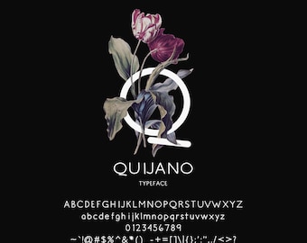 QUIJANO Sans Serif Font: Elegant Typeface for Branding (Digital Download)