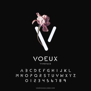 May include: A black background with a white "V" shape and a pink flower. The word "VOEUX" is displayed in white, along with the word "TYPEFACE". Below are the letters of the alphabet and numbers.