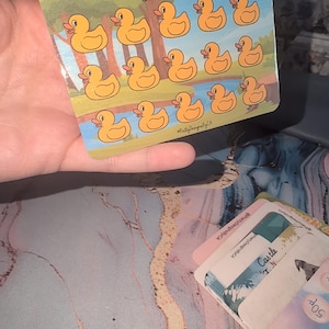 Mini Cash Stuffing Tracker - Hook a duck