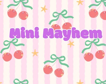 Mini Mayhem - MYSTERY Cash stuffing trackers Bundle