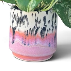 Hot Tropics Planter | Colorful Ceramic Plant Pot | Handmade Indoor Planter