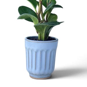 Ribbed Ceramic Planter, 4 Inch Fluted Stoneware Plant Pot with Drainage for Houseplants and Succulents