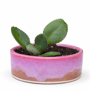 Handmade Stoneware Succulent Planter, Low Profile Pot with Drainage, Coastal and Desert Decor