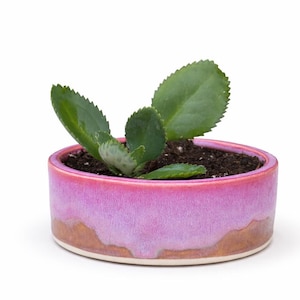 Handmade Stoneware Succulent Planter, Low Profile Pot with Drainage, Coastal and Desert Decor