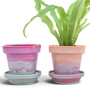 May include: Two ceramic plant pots with matching saucers. The left pot features a vibrant pink top fading into a light blue base. The right pot displays an orange and pink gradient and contains a green leafy plant with long, wavy fronds.