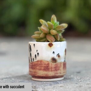 Puede incluir: Peque&ntilde;a maceta de cer&aacute;mica hecha a mano con una suculenta. La maceta es blanca con detalles moteados marrones y negros y una banda marr&oacute;n rojizo. La suculenta es verde y marr&oacute;n. La maceta mide 5 cm.