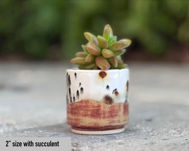 Puede incluir: Peque&ntilde;a maceta de cer&aacute;mica hecha a mano con una suculenta. La maceta es blanca con detalles moteados marrones y negros y una banda marr&oacute;n rojizo. La suculenta es verde y marr&oacute;n. La maceta mide 5 cm.