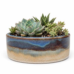 Shallow Ceramic Succulent Planter | Cactus Bowl with Drainage | Handmade Stoneware Plant Pot