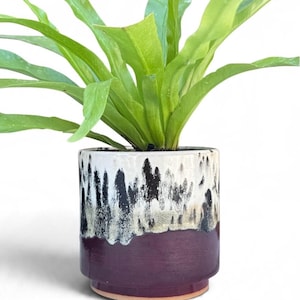 May include: A vibrant green fern plant potted in a cylindrical ceramic planter. The planter features a glossy finish with a deep purple base and a white upper section decorated with vertical black drip patterns and a visible terracotta rim.