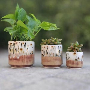 Puede incluir: Tres macetas de cer&aacute;mica con plantas. Las macetas son cil&iacute;ndricas con una parte superior blanca, una parte media marr&oacute;n y una base marr&oacute;n. La maceta m&aacute;s grande contiene una planta de hojas verdes, mientras que las m&aacute;s peque&ntilde;as contienen suculentas. Las macetas est&aacute;n sobre una superficie gris.