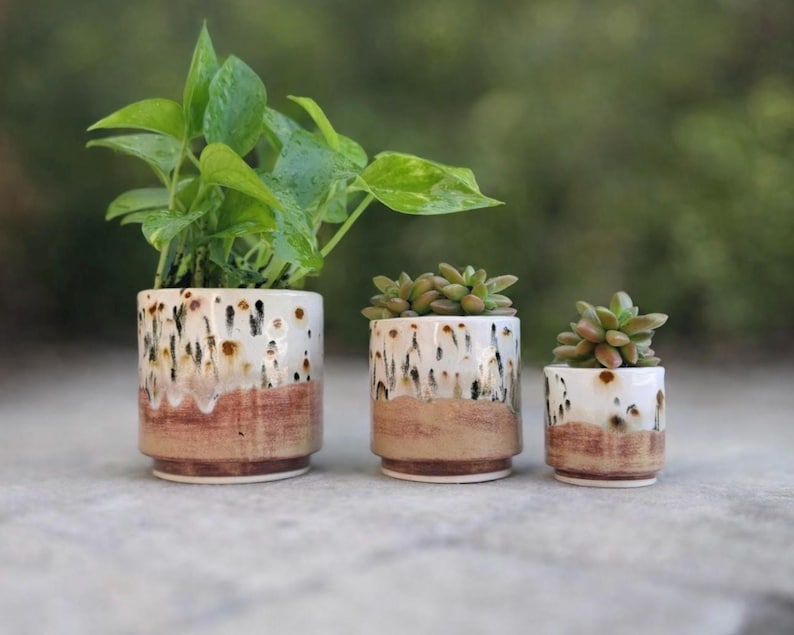 Puede incluir: Tres macetas de cer&aacute;mica con plantas. Las macetas son cil&iacute;ndricas con una parte superior blanca, una parte media marr&oacute;n y una base marr&oacute;n. La maceta m&aacute;s grande contiene una planta de hojas verdes, mientras que las m&aacute;s peque&ntilde;as contienen suculentas. Las macetas est&aacute;n sobre una superficie gris.