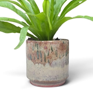 May include: A cylindrical ceramic planter with a reactive glaze featuring a blend of dusty pink, cream, and dark green drip patterns. The pot has a slightly recessed base and contains a vibrant green bird's nest fern with long, wavy fronds.