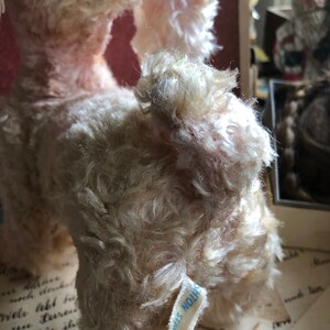 She’s A Star Vintage Pink Rushton Creation Toy Pink Poodle image 6