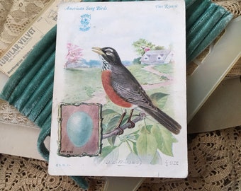 The Singer Sewing Machine Company Thought You Should Collect Song Birds Antique Trade Card