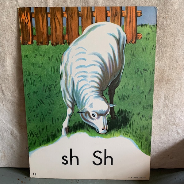 S Is For Sheep Vintage 1950s LB Lippincott Co Large Stock Card Alphabet Learning Card